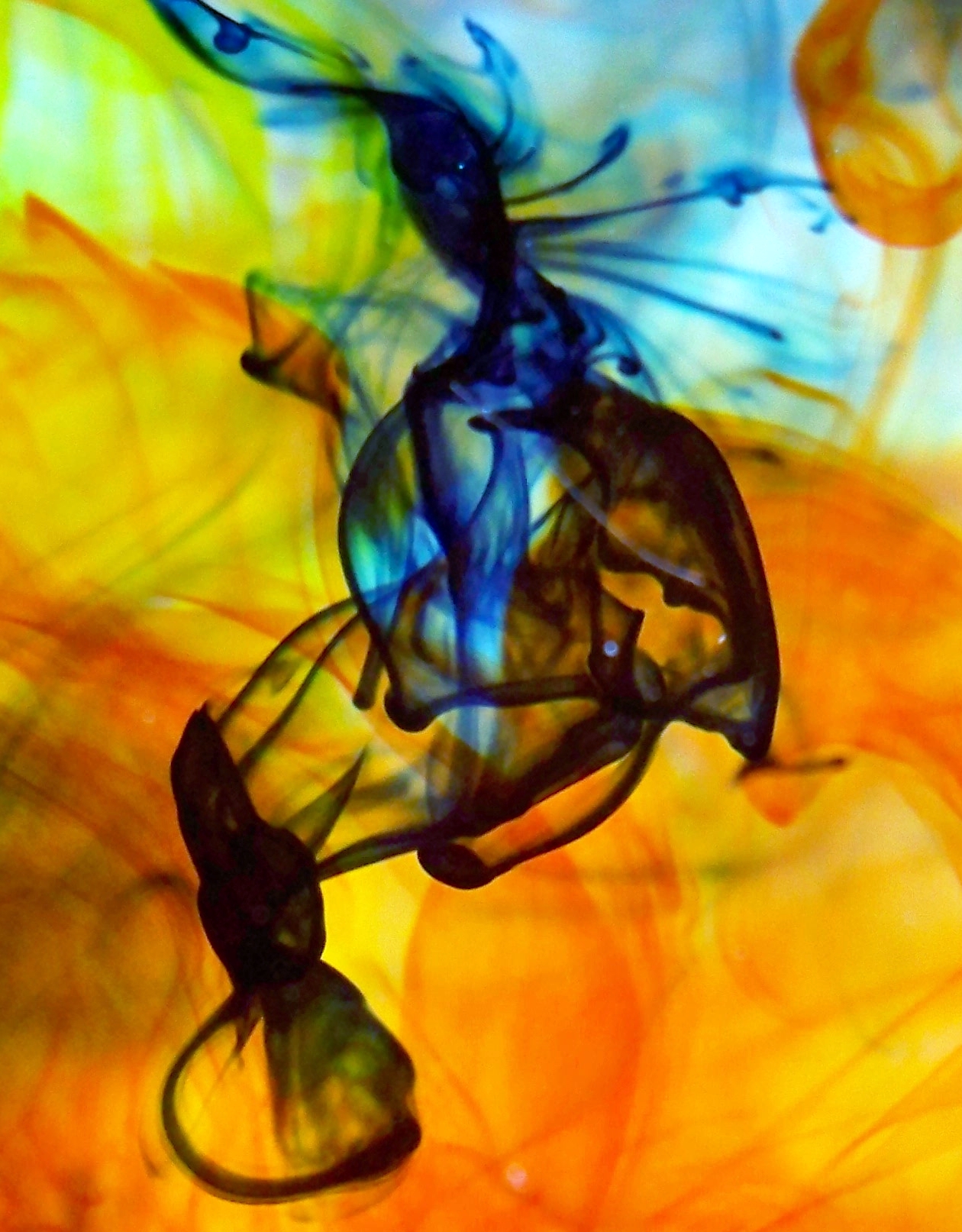 Abstract Photograph: 'Underwater Dance of the Bat-Winged Mermaid' by artist and photographer John Russell